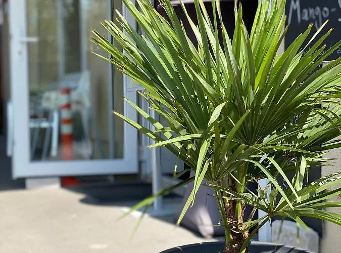 Wernicke-das-original 4* ベルリン