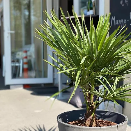 Wernicke-das-original 4* Berlín